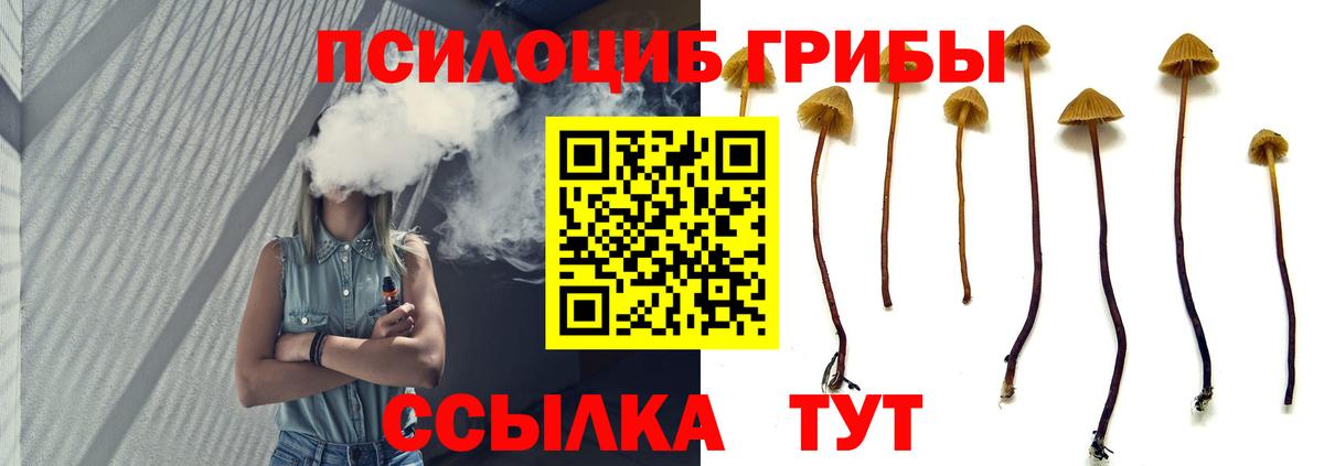 цена наркотик  Вход с VPN  Карачаевск  Галлюциногенные грибы прущие грибы 